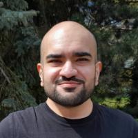 Adeel Bukhari